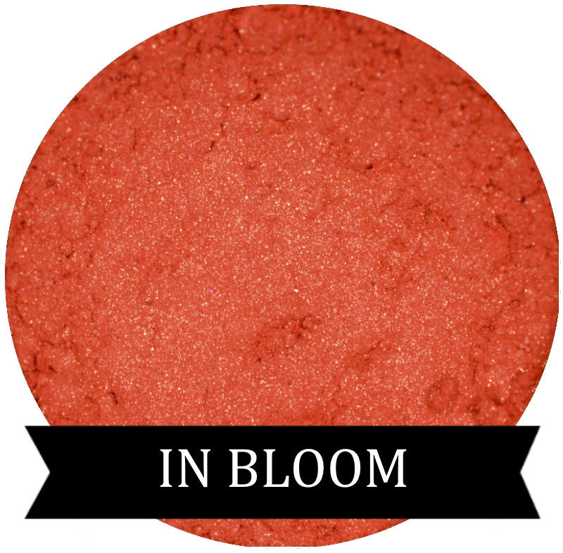 Coral Eyeshadow IN BLOOM