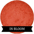 Coral Eyeshadow IN BLOOM
