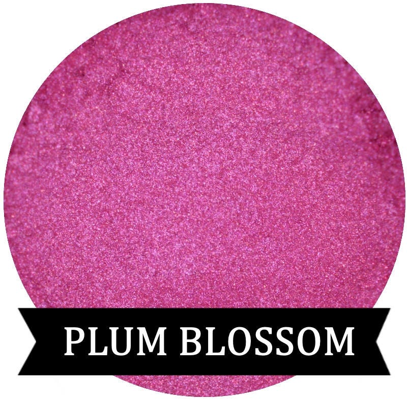 PLUM BLOSSOM Shimmery Orchid Pink Eyeshadow