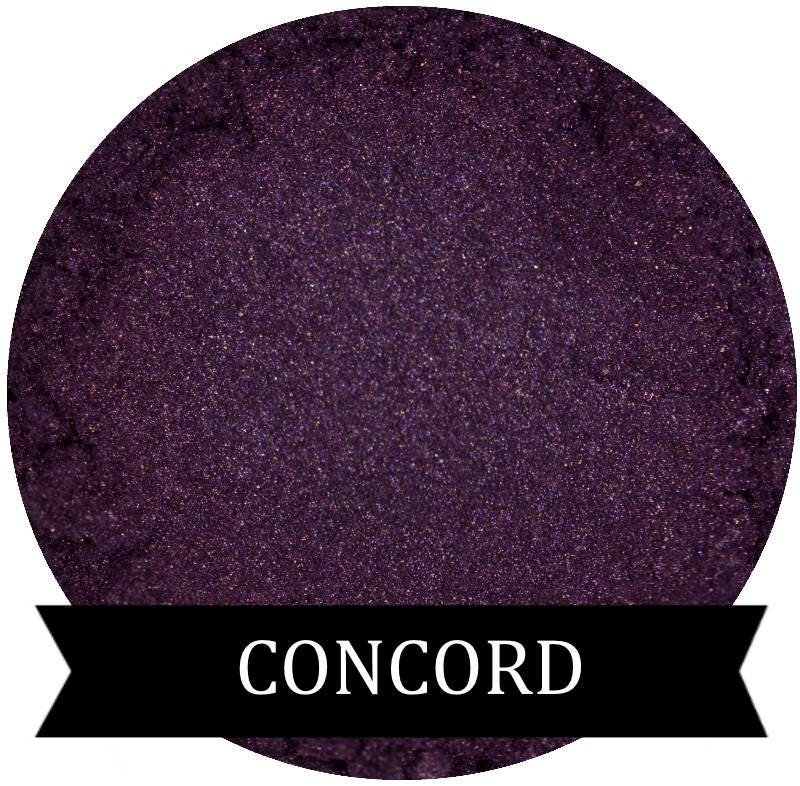 Concord Dark Purple Eyeshadow