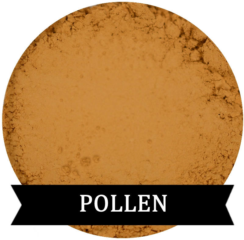 POLLEN Matte Honey Gold  Eyeshadow